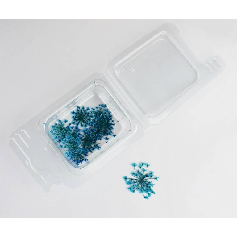 Fiorellini secchi blu decorativi