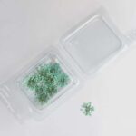 Fiorellini secchi verde chiaro