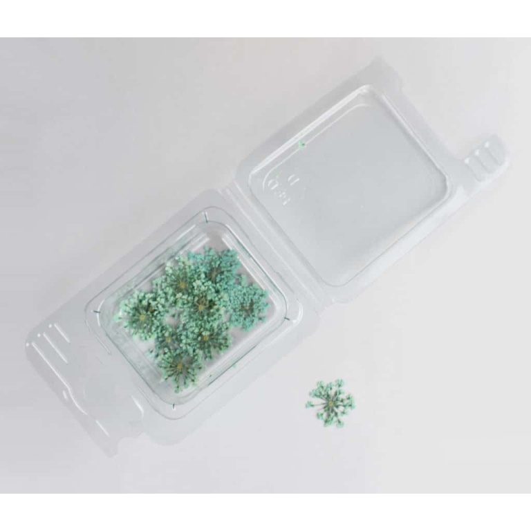 Fiorellini secchi verde chiaro