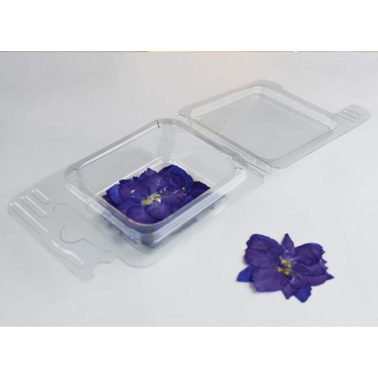 Fiorellini secchi viola decorativi