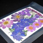 Fiori viola pressati per gioielli e decorazioni