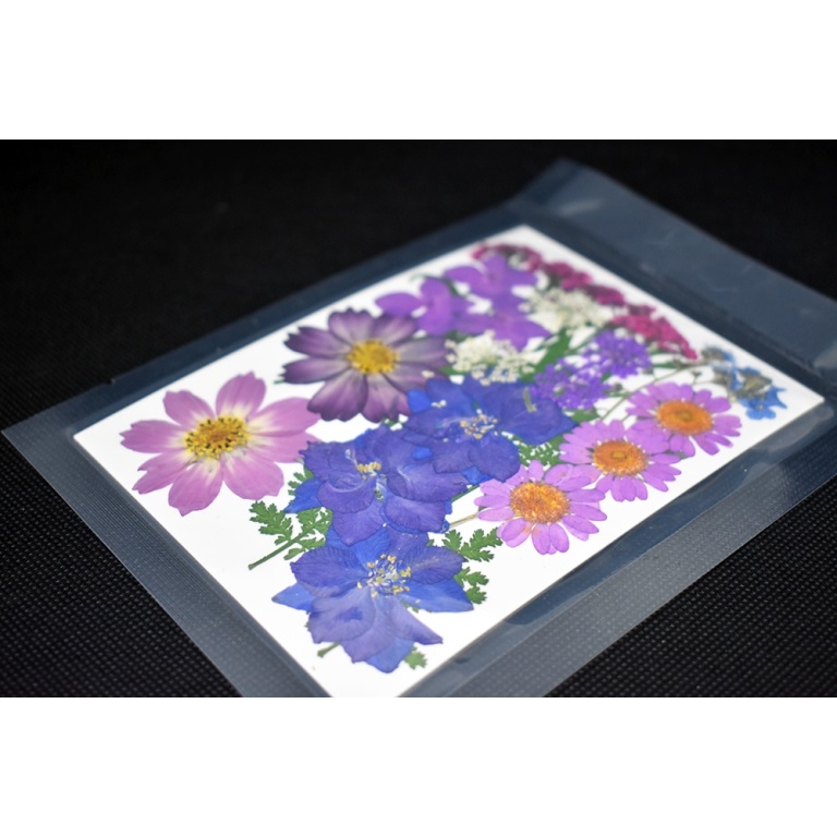 Fiori viola pressati per gioielli e decorazioni