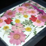 Fiori rosa pressati per gioielli e decorazioni