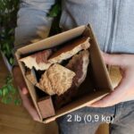 Ritagli di Eucalipto – scatola da 900 gr