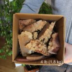 Ritagli di Eucalipto - scatola da 1,8 kg