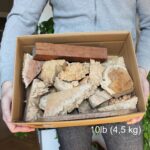 Ritagli di Eucalipto – scatola da 4,5 kg
