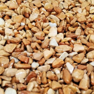 Immagine per il numero della scelta 4