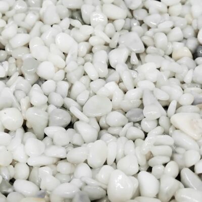 Immagine per il numero della scelta 1