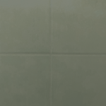 RAL-6007