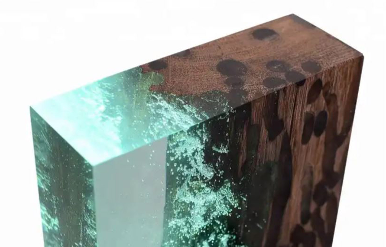 Resina acrilica Naturesin