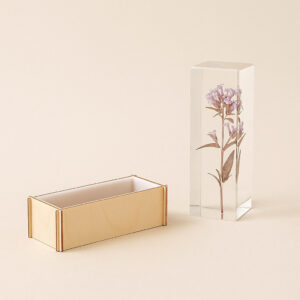 Cassaforma per creare rettangoli di Resina 15.5×5.5