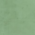 RAL-6017